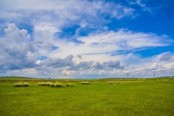 _DSC4202