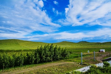 _DSC4432