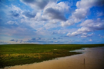 _DSC7015