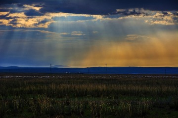 _DSC7518