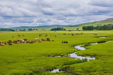 _DSC9236