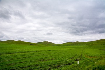 _DSC9256