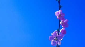 2014-03-29-3746