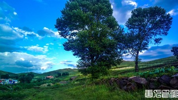 2015-08-19-2636