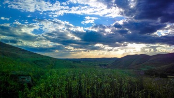 2015-08-19-2666