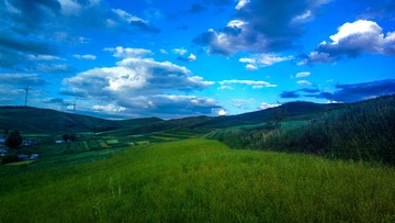 2015-08-19-2695