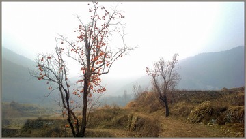 2014-11-29-7957