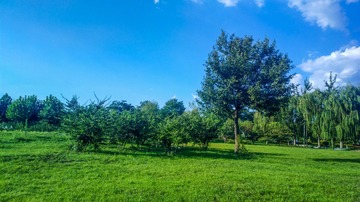 2014-08-25-5322