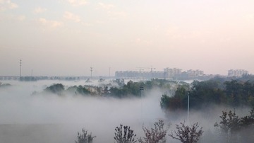 2014-10-26-0203（雾漫青葱）