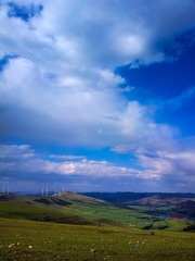 2015-08-19-2153