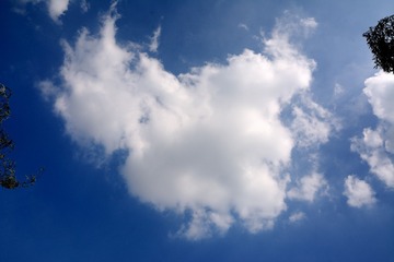 DSC_4269 - 