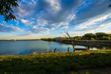 _DSC0349