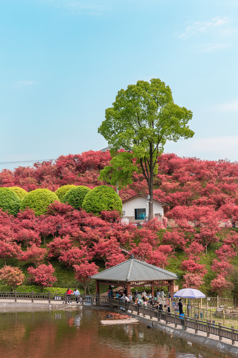 南彭多彩植物园