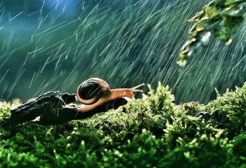 不惧风雨