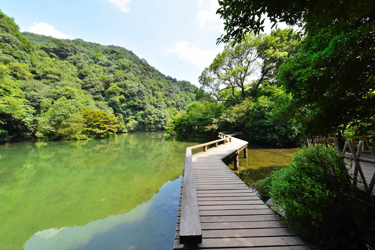 杭州泸州美无比132-近日又九溪 美女被抱归(2