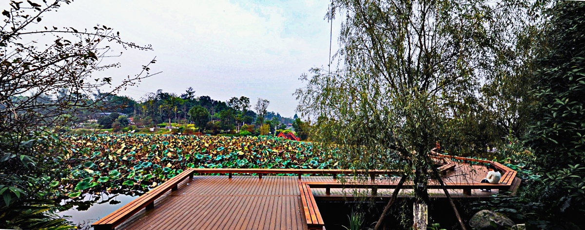 泸州之我色108植物园2