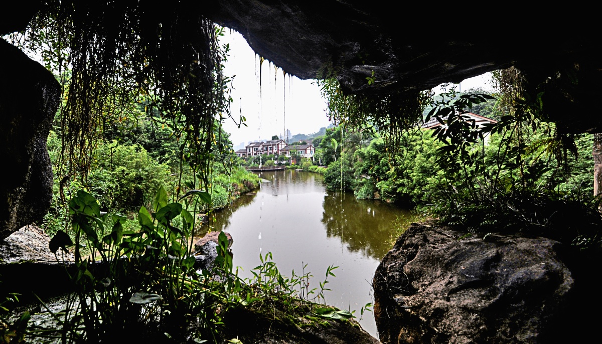 泸州之我色203张坝桂圆林5a风景区7