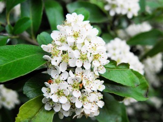 P5017606
