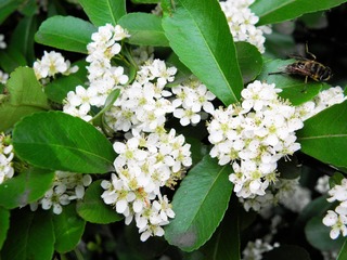 P5017608