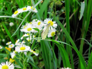 P5017609