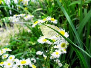 P5017611