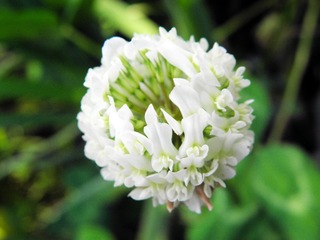 P5017616
