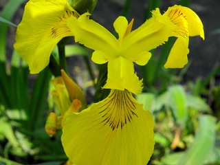 P5017621