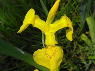 P5017622