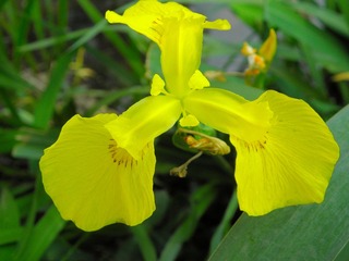 P5017625
