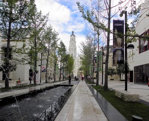 DSC_6481-