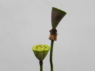 P7167989