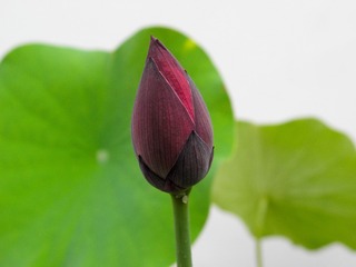 P7167993