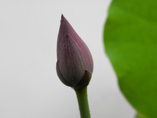 P7167994