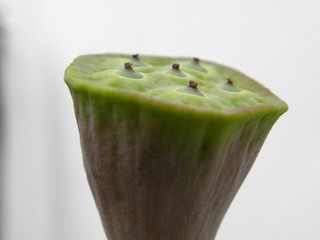 P7167997