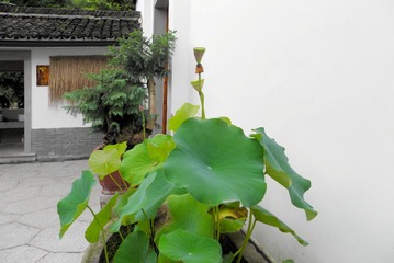 P7168006