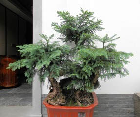 P7168007
