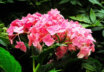 P6227835