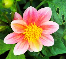 P6307891