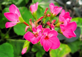 P6307895