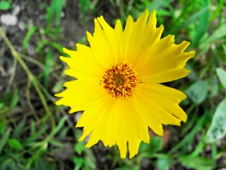 P7097977