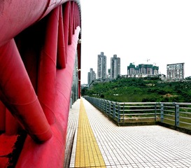 P7255132
