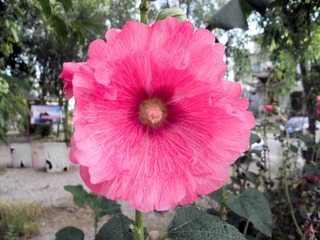 P8018383