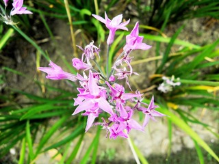 P8058551-1