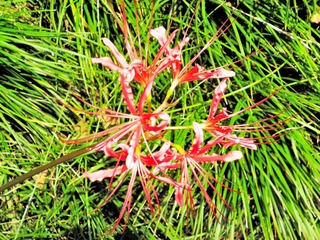 P8058551-2