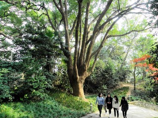 DSC_3109-