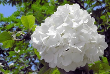 P4159045
