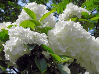 P4159039