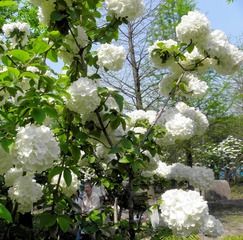 P4159040