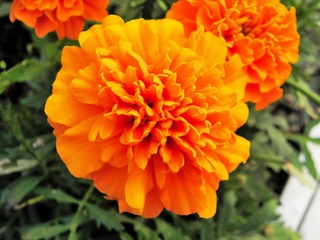 P5047630