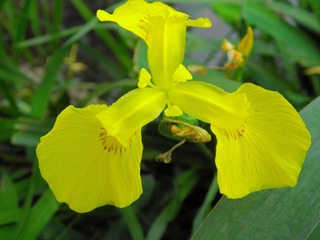 P5017625